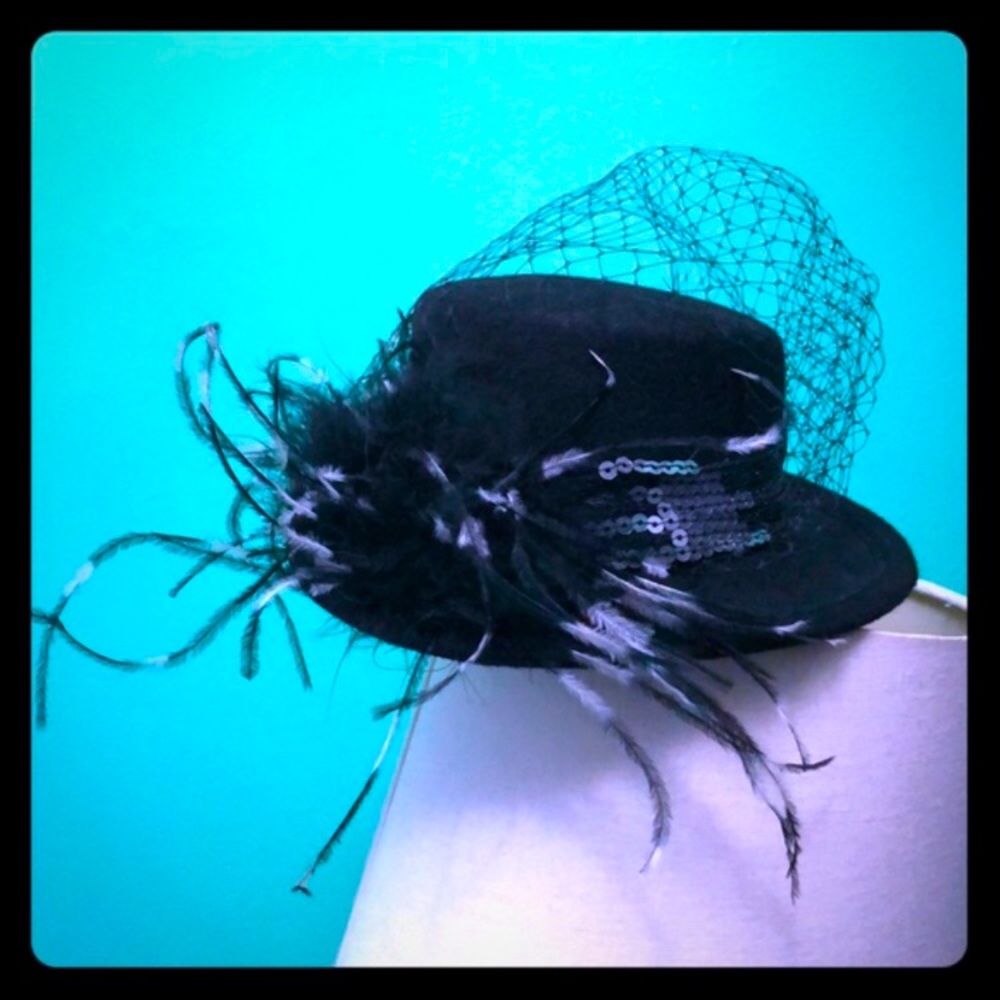 La Vie En Rose NEW $110 - Hat with Veil, Feathers  & comb